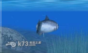 3ds 鱼之眼天堂3D美版提供下载-鱼之眼天堂中文版下载