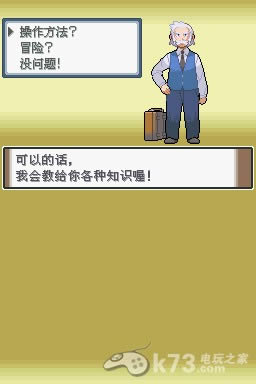 nds 口袋妖怪白金中文版下载-口袋妖怪白金汉化版下载