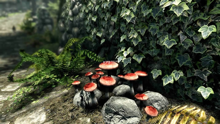 Ϲž5ư Ӳ̰ ͼ
