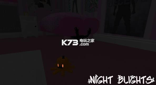 ҹNight Blights ذ ͼ