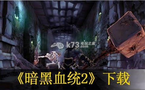 ps3 暗黑血统2日版(暂未上线)