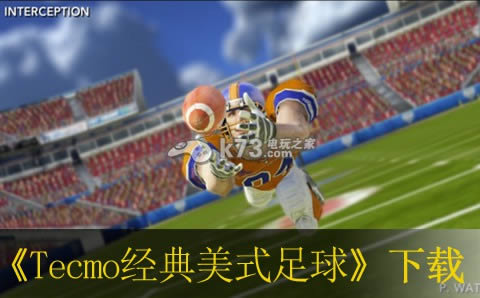 ps3 Tecmo经典美式足球美版预约(暂未上线)