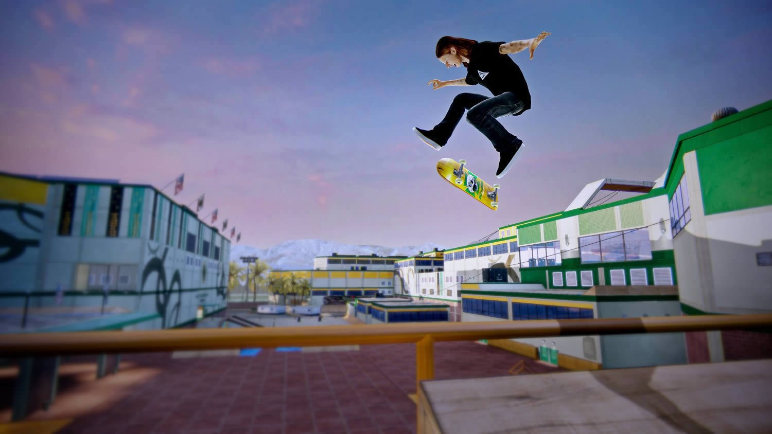 PS3˻5Tony Hawk's Pro Skater 5