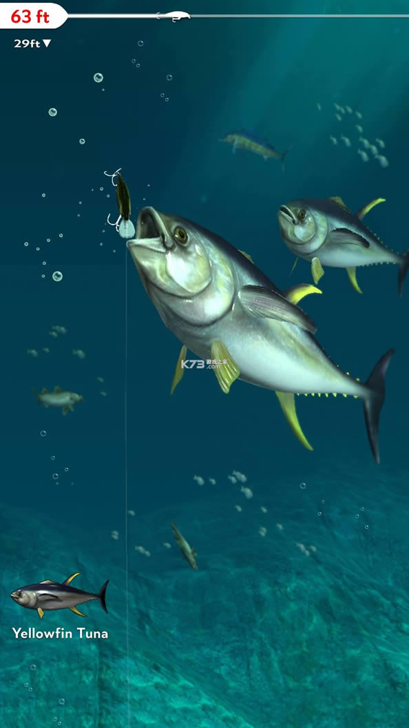 Rapala Fishing v1.6.24 ƽ ͼ